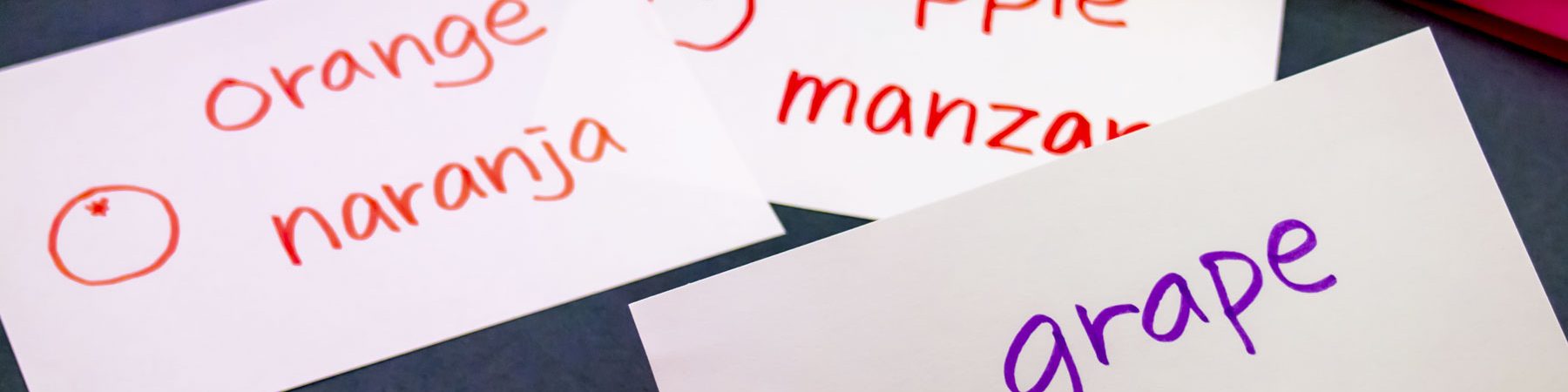 Bilingual Learners Graduate Certificate Program Online - Bilingual educator flash cards for English learner student studies. 